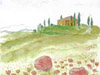 Toskana mit Mohnblumen − 2008